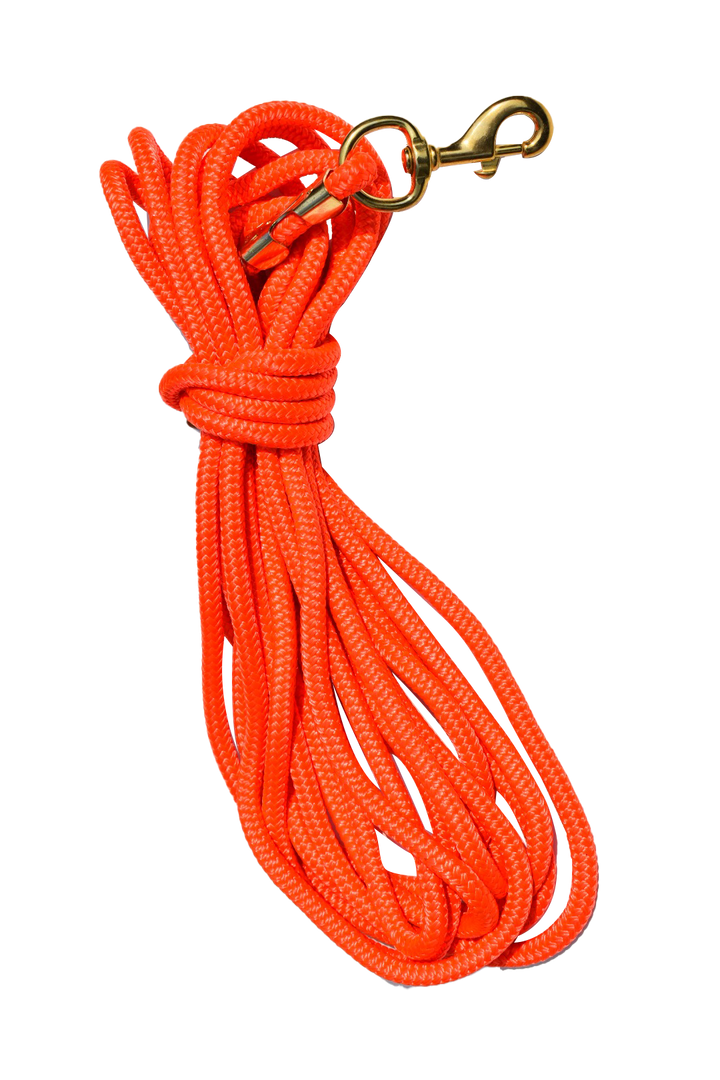 30ft Nylon Dog Training Check Cord Rope