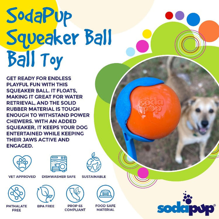 Squeak Ball - Durable Squeaky Dog Toy, Floats, Chew Toy | USA Made
