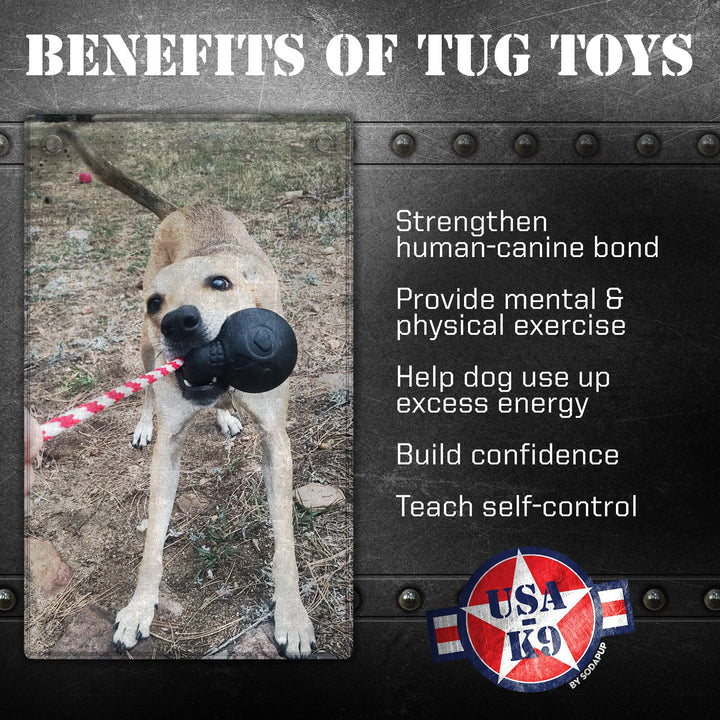 USA-K9 Magnum Skull - Black Magnum Rubber Chew Toy for Extreme Chewers | USA Made