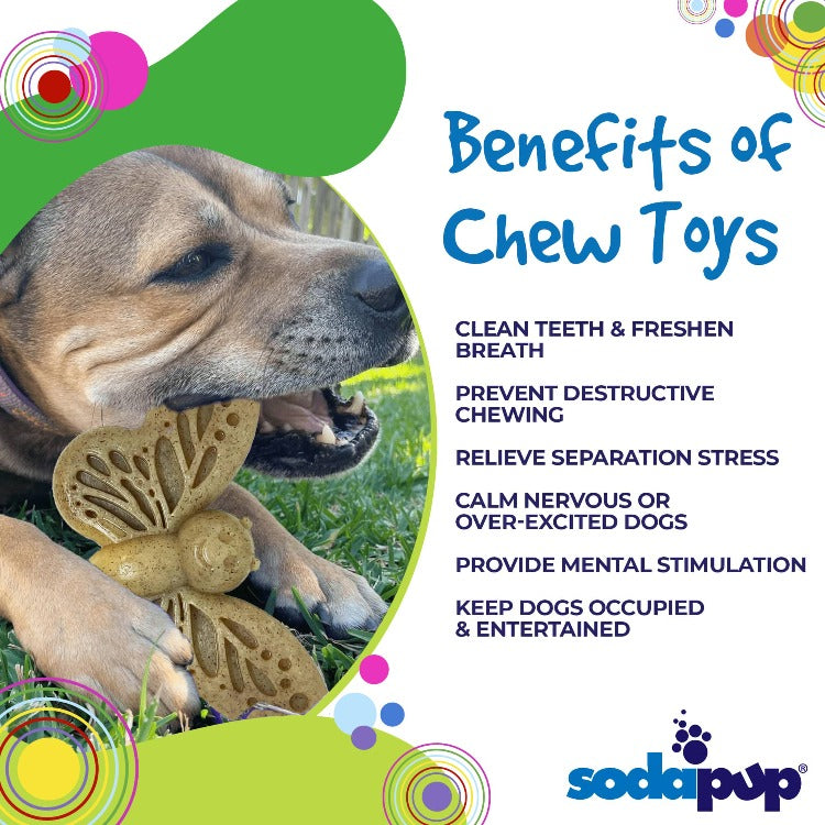 Butterfly Nylon Chew &amp; Enrichment Toy | 2-in-1 for Aggressive Chewers | SodaPup