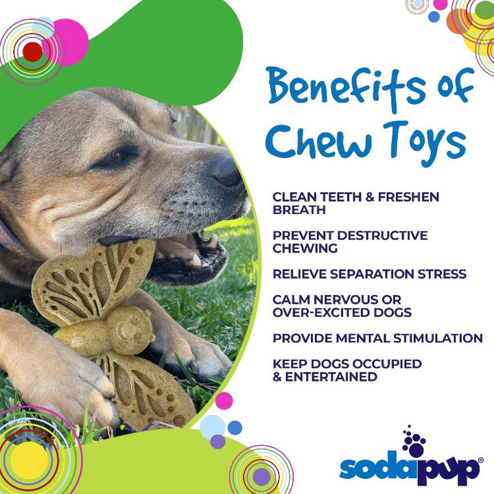 Butterfly Nylon Chew &amp; Enrichment Toy | 2-in-1 for Aggressive Chewers | SodaPup