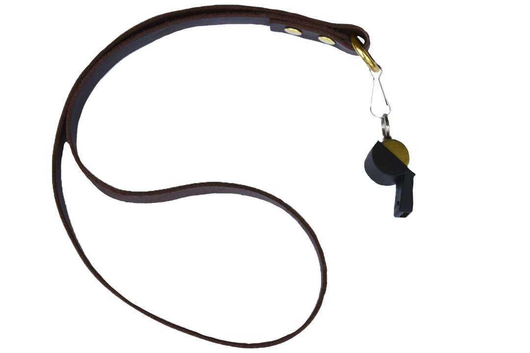 Brass-Gold Plated Dog Whistle With Leather Lanyard