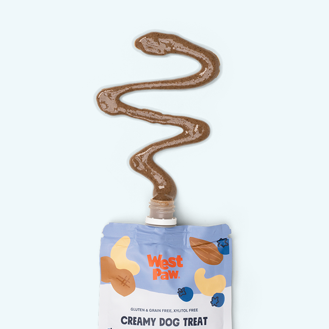 Nut Butter, Blueberry, and Chia Seed