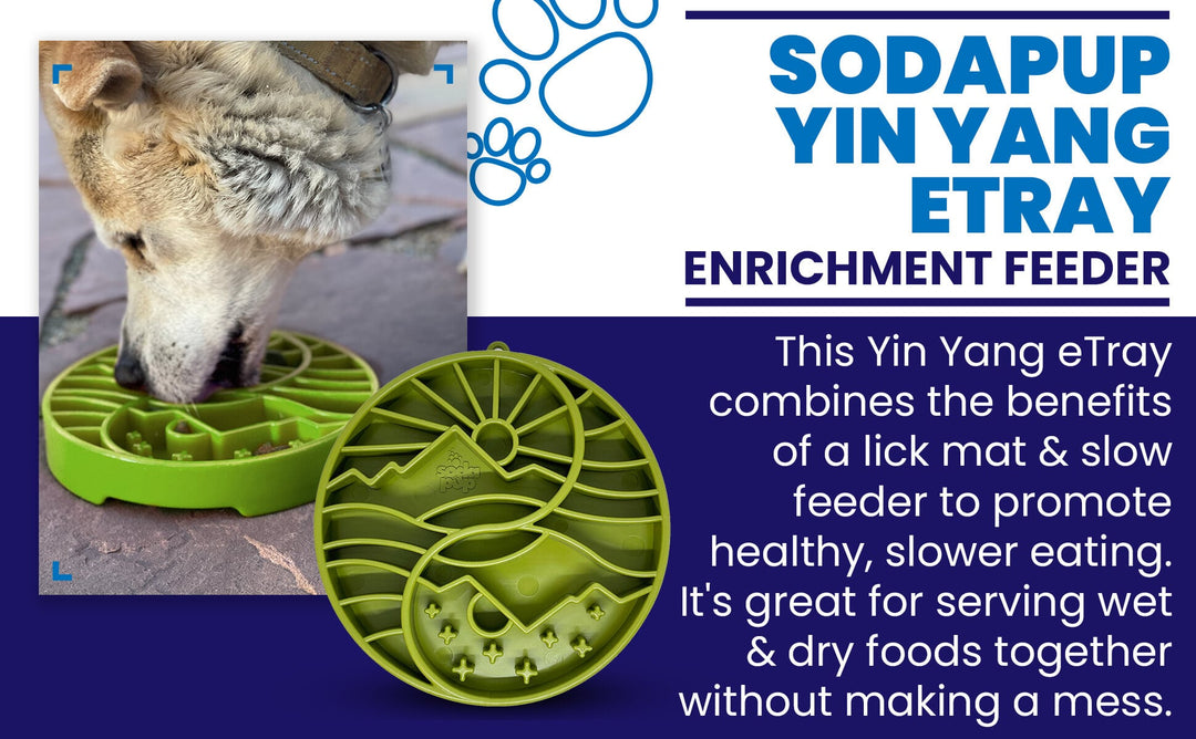 Sun and Moon eTray - Shallow Slow Feeder Dog Bowl for Enrichment | USA Made