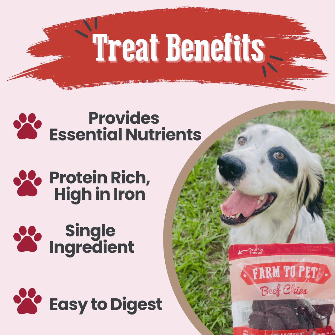 Beef Chips Snack Pack Bundles | Dog Treats for Training &amp; Travel