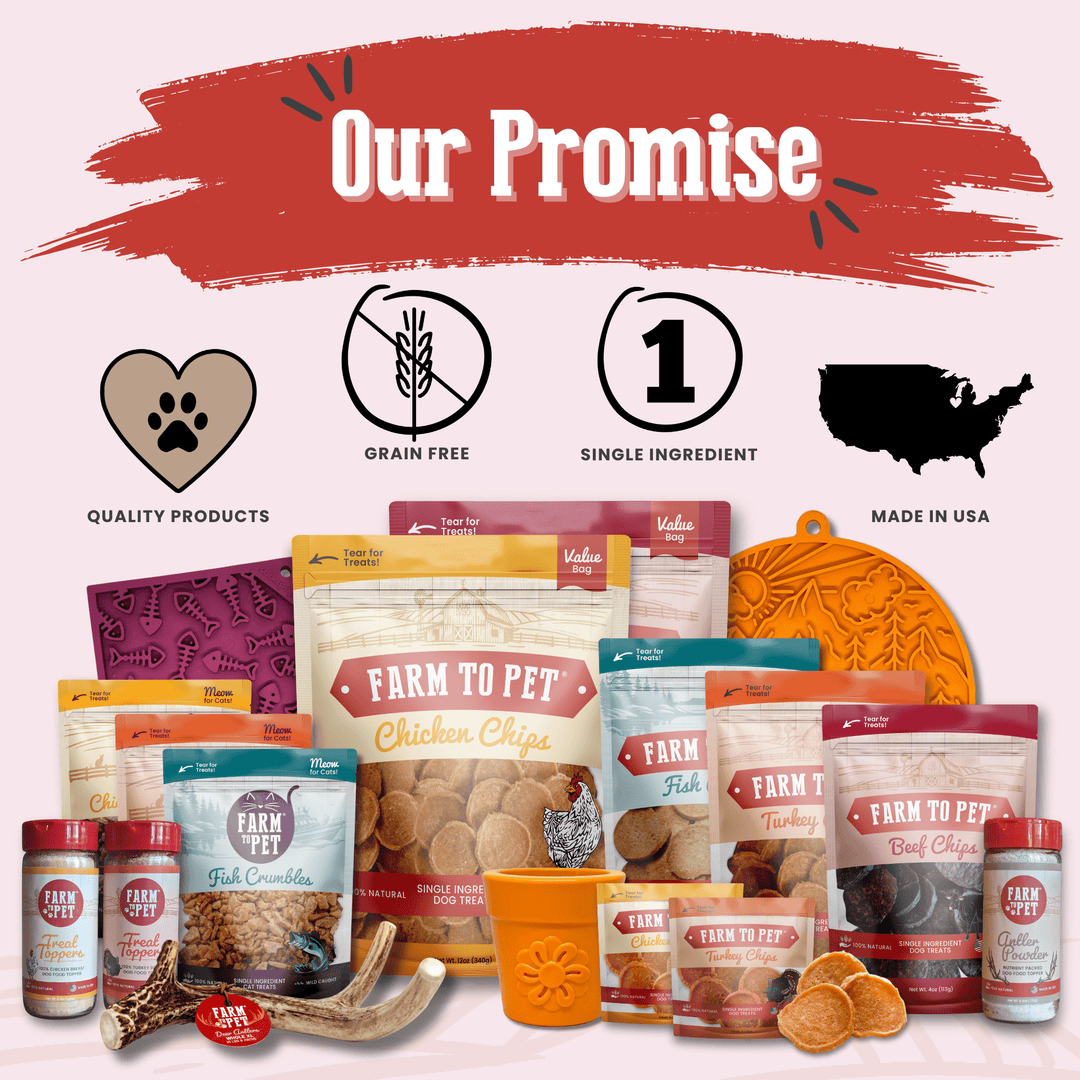 Beef Chips Snack Pack Bundles | Dog Treats for Training &amp; Travel
