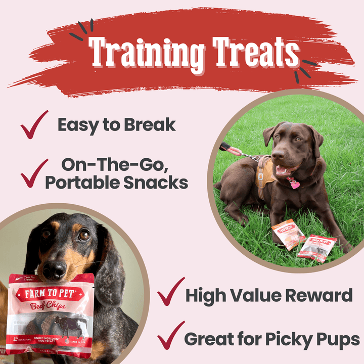 Beef Chips Snack Pack Bundles | Dog Treats for Training &amp; Travel