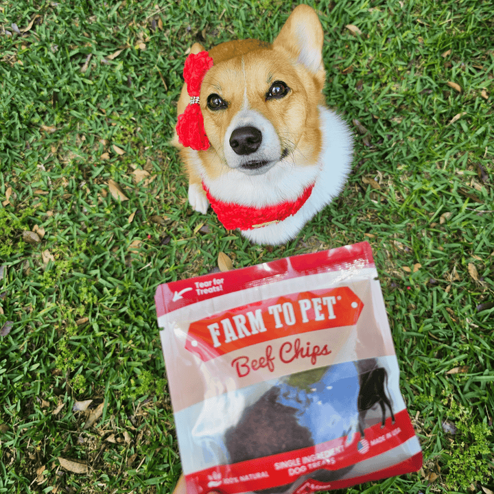 Beef Chips Snack Pack Bundles | Dog Treats for Training &amp; Travel
