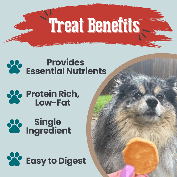 Fish Chips Snack Pack Bundles | Dog Treats for Training &amp; Travel
