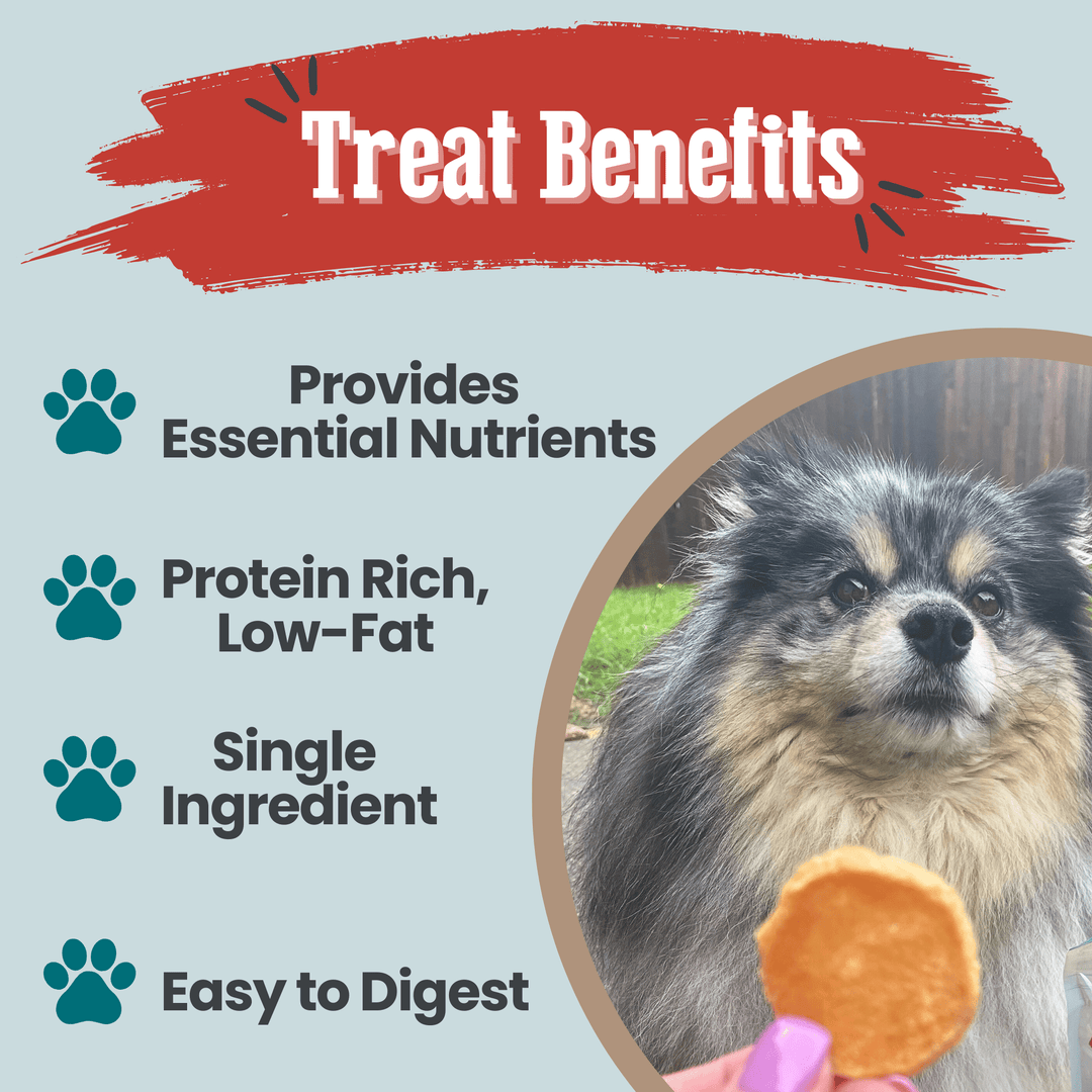 Fish Chips Snack Pack Bundles | Dog Treats for Training &amp; Travel