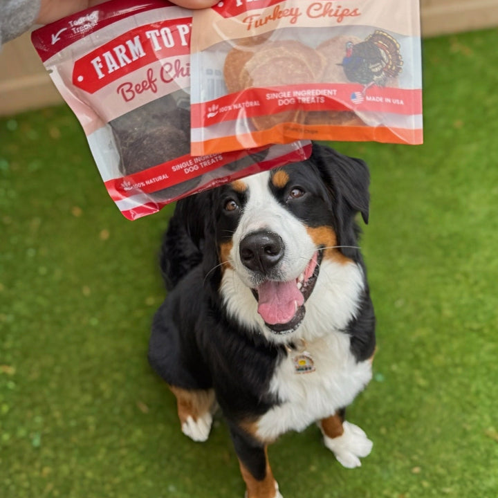 Puppy Packs &