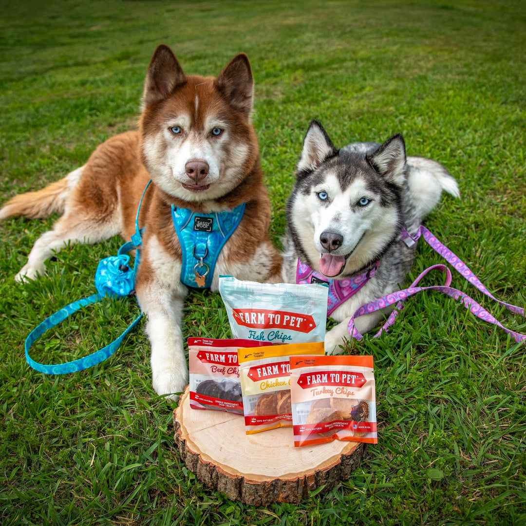 Puppy Packs &