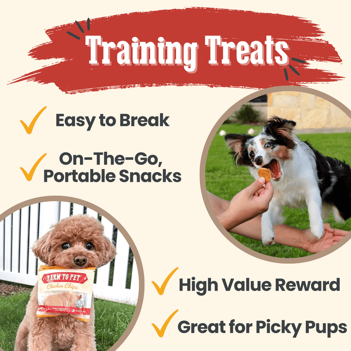 Chicken Chips Snack Pack Bundles | Dog Party Favors &amp; Training Treats