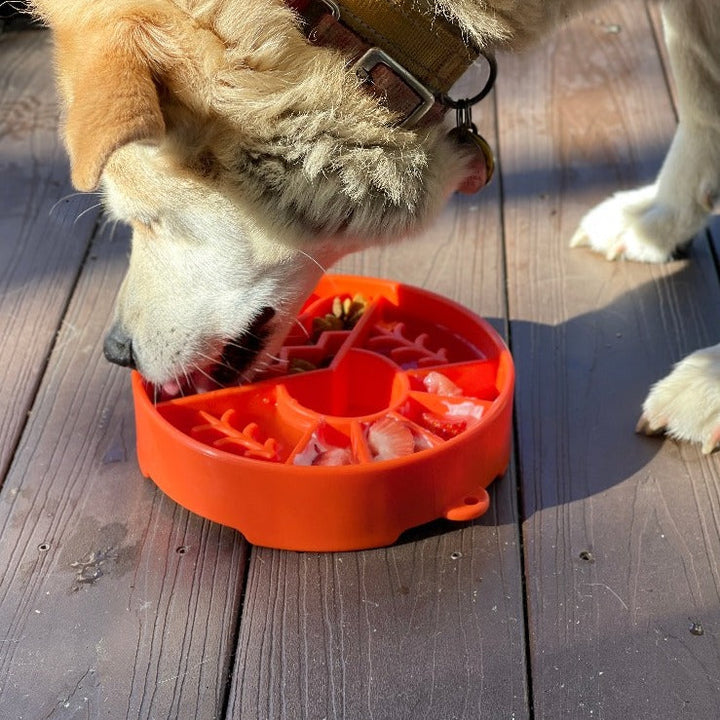 Great Outdoors eBowl - Slow Feeder Dog Bowl &amp; Enrichment | USA Made