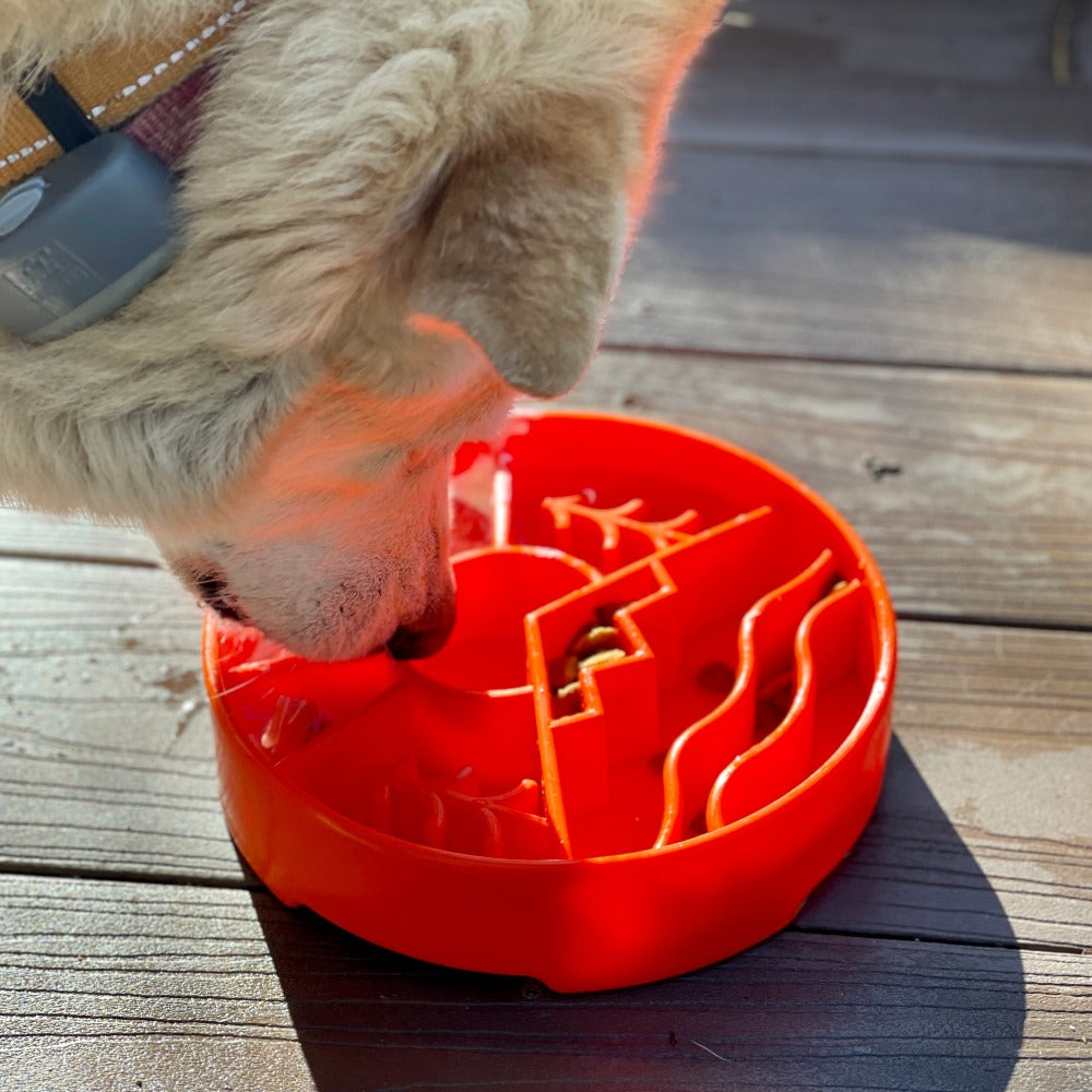 Great Outdoors eBowl - Slow Feeder Dog Bowl &amp; Enrichment | USA Made