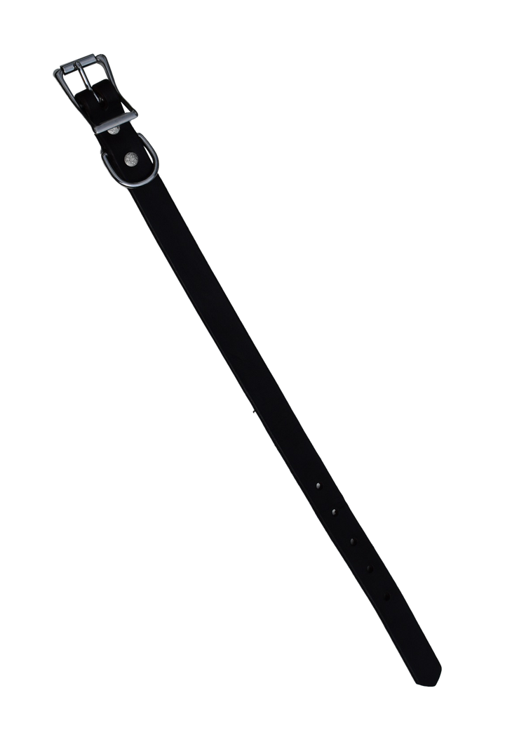 Leather Dog Collar