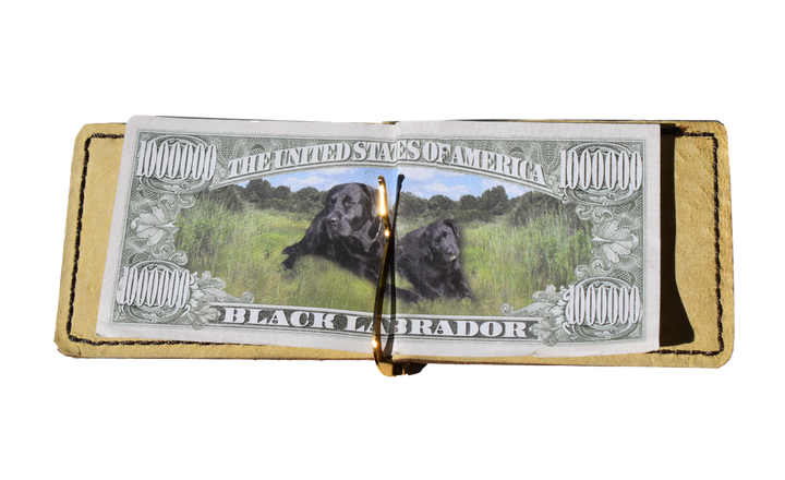 Leather Money Clip and Cardholder
