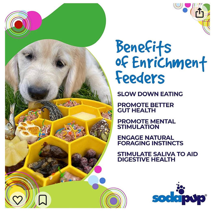Honeycomb eBowl Deep Slow Feeder Dog Bowl for Enrichment | USA Made