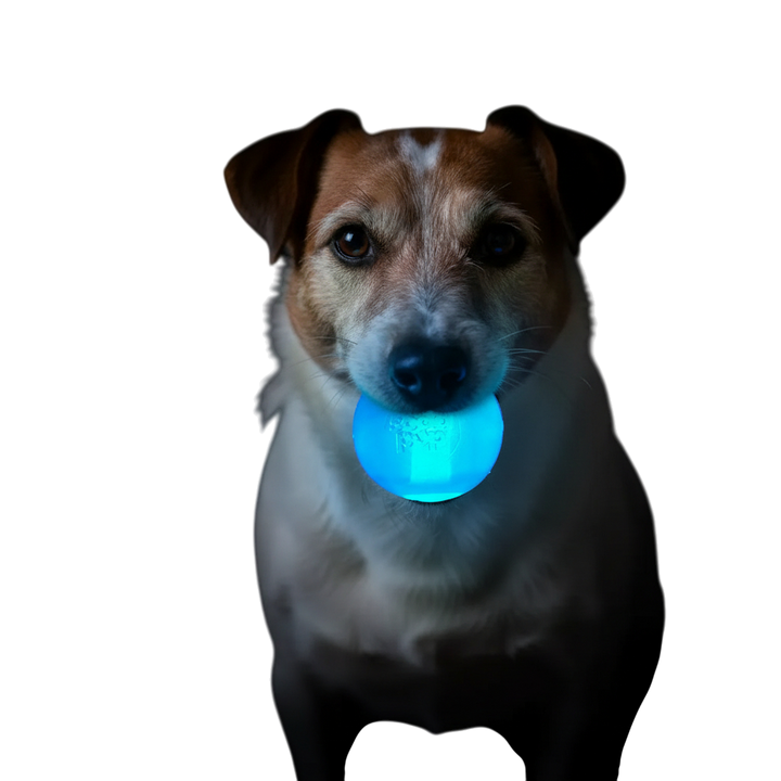Strobe Ball Light-Up Dog Toy - Durable Floating Chew Ball | Made in USA