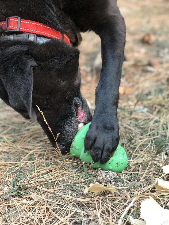 Christmas Tree Dog Toy - Durable Rubber Chew Toy for Large Dogs | USA Made