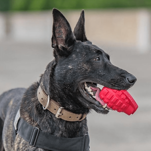 USA-K9 Grenade Shaped eDispenser Durable Dog Chew Toy &amp; Treat Dispenser - Magnum Black
